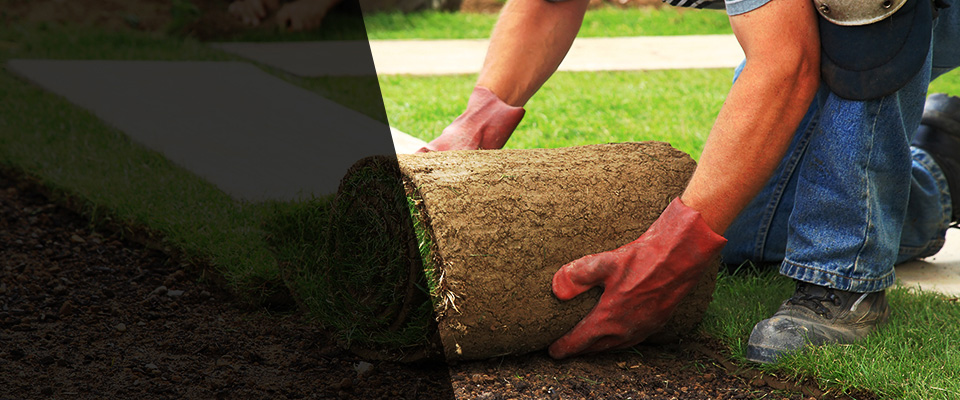 Hardeeville Landscapers
